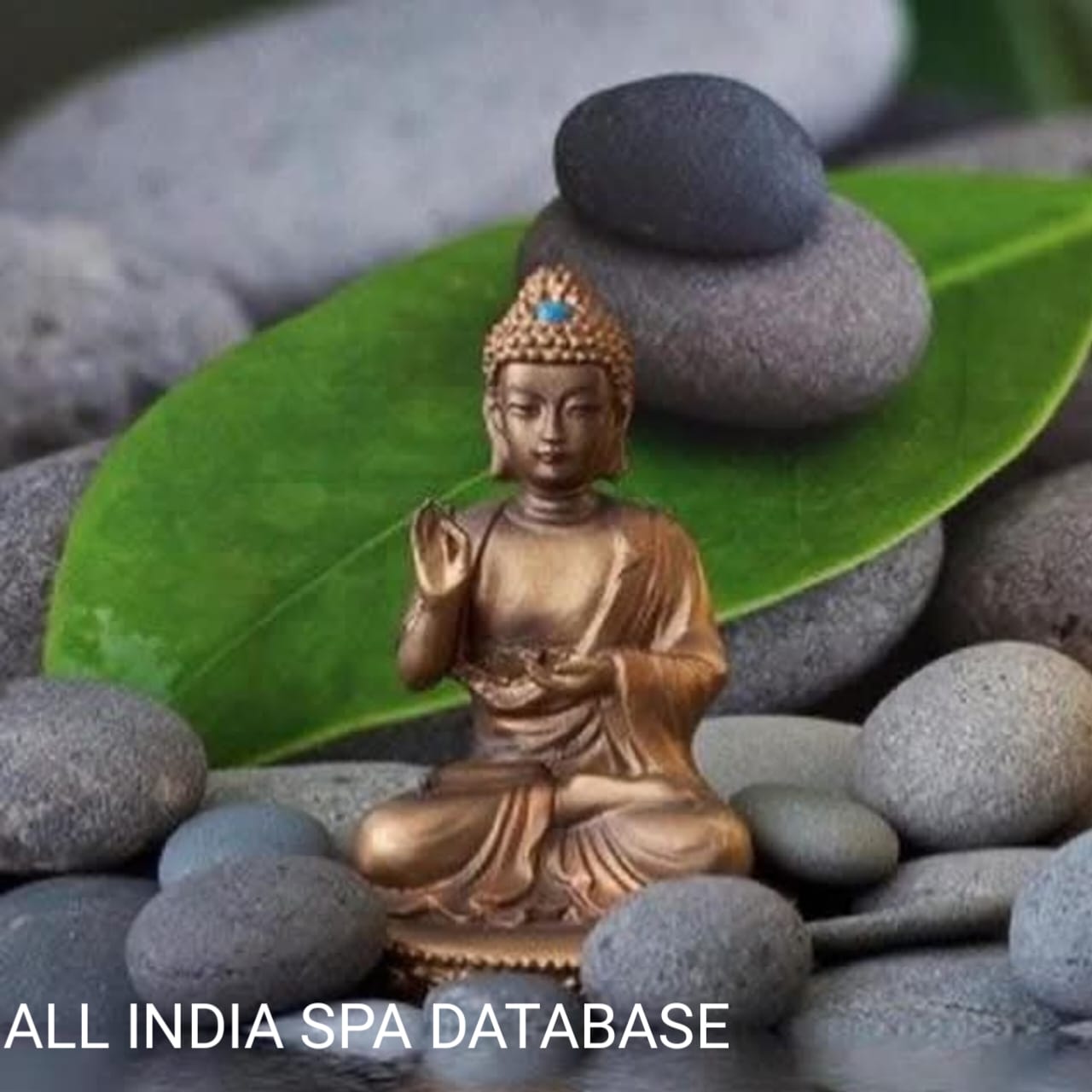 ALL INDIA PARLOUR & SPA DATABASE 40K QTTY